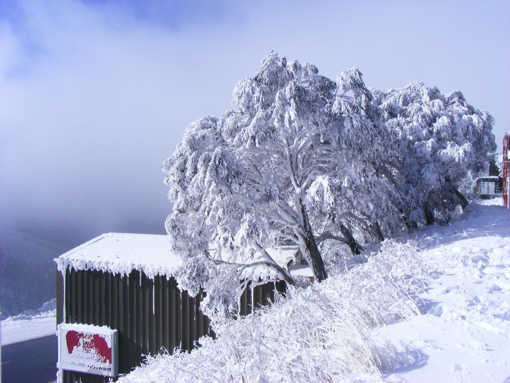 Villa Arlberg Hotham Mount Hotham Exterior foto